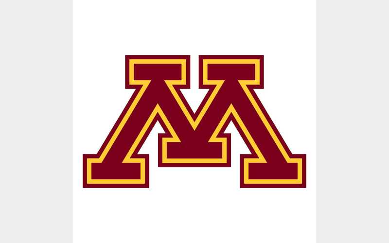 Gophers
